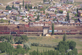 696dfcd3d0c81_kangal